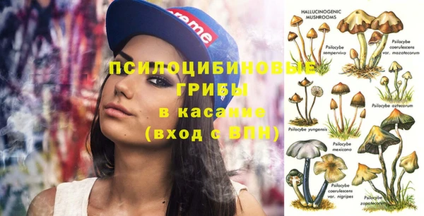 spice Алексин