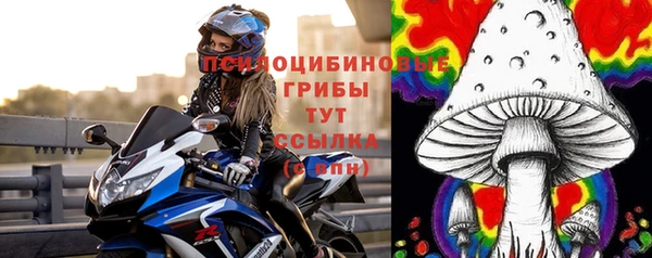 spice Алексин