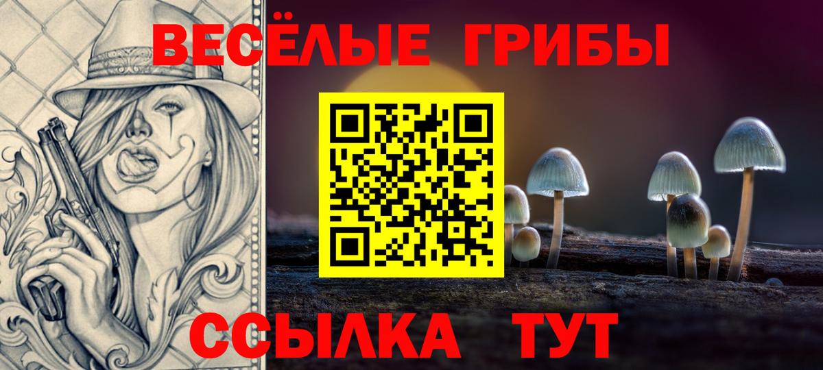 Галлюциногенные грибы Psilocybe  где купить наркоту  Краснознаменск  Вход с VPN 