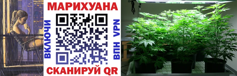где купить наркоту  Краснознаменск  Бошки Шишки ГИДРОПОН 